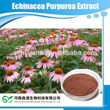 Echinacea Purpurea Extract